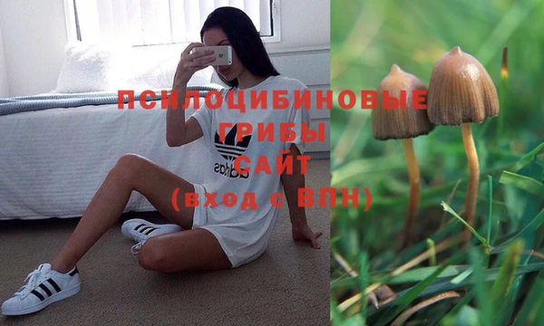mix Алексеевка