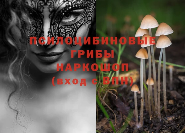 героин Алексин