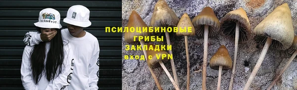 mix Алексеевка