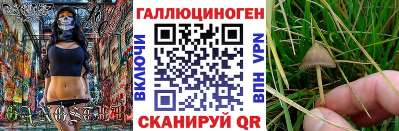 Псилоцибиновые грибы MAGIC MUSHROOMS Топки